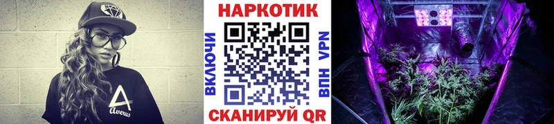 Какие есть наркотики Чистополь Alpha-PVP  COCAIN  Меф  Галлюциногенные грибы  ГАШ 