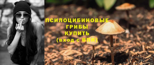эйфоретик Арсеньев