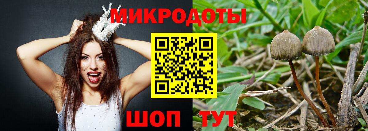Чистополь  Псилоцибиновые грибы мицелий  как найти наркотики  Вход с VPN 