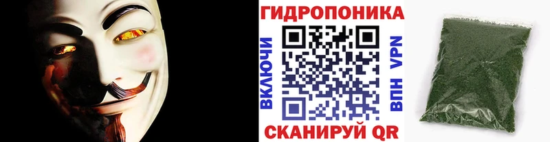 Канабис OG Kush  blacksprut ССЫЛКА  Чистополь 